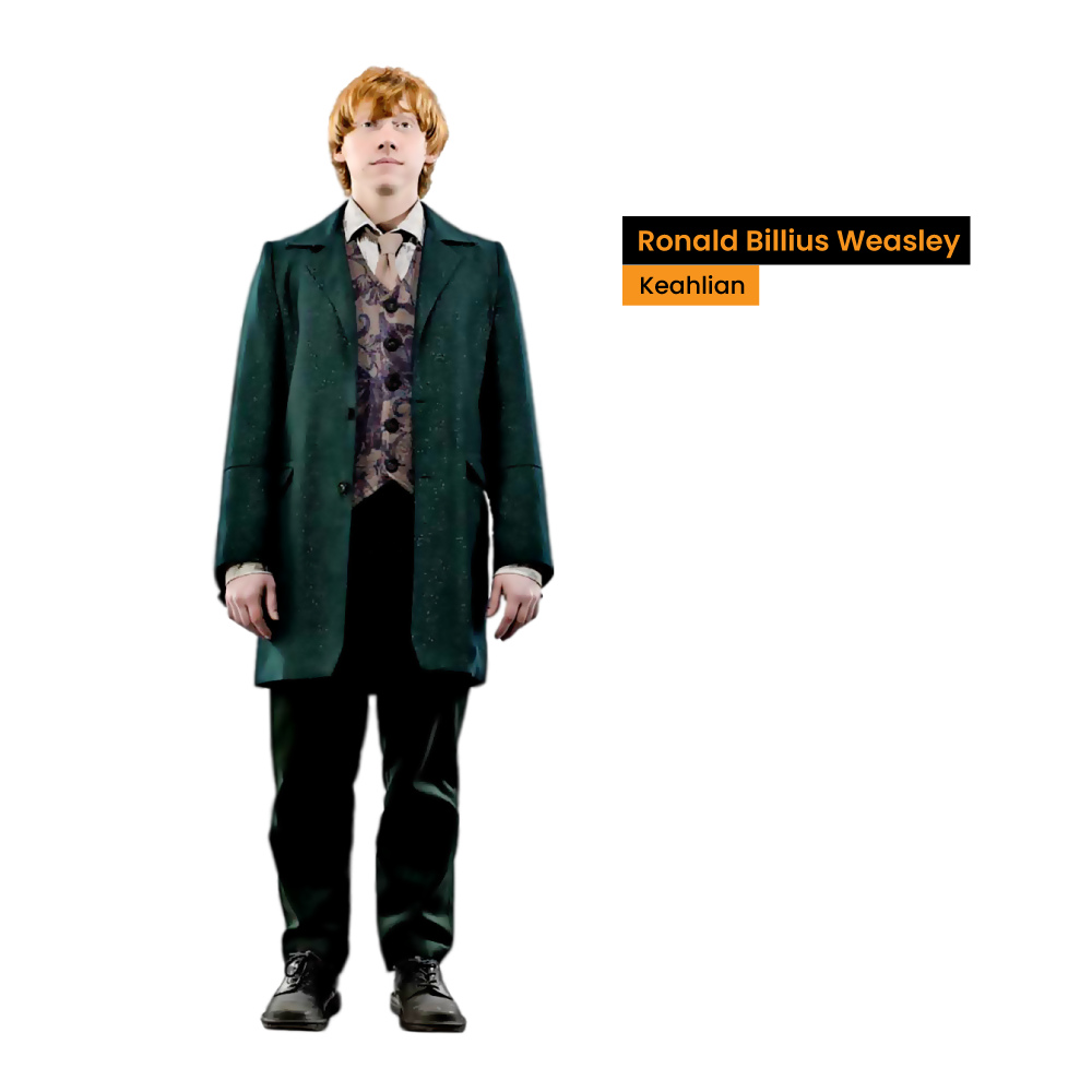 Ronald Billius Weasley